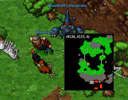 NPC Woodruff em Murcott.png