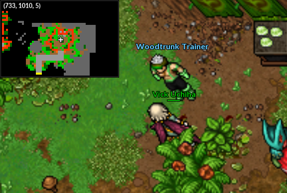 NPC Naturia Woodtrunk Trainer.png