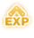 Exp icon.png