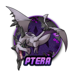 Banner BFPtera.png