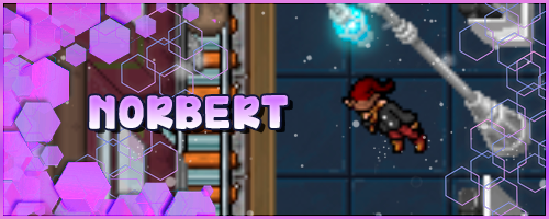 Banner NPC Norbert.webp