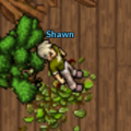 Miniatura da versão das 10h43min de 23 de maio de 2026
