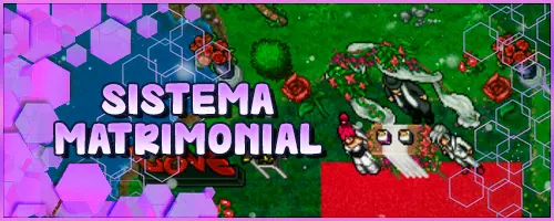 Banner Sistema Matrimonial.webp