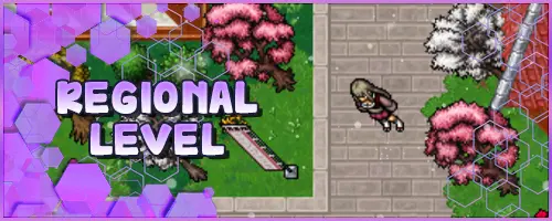 Banner Regional Level.webp