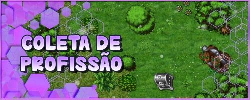 Banner Coleta De Profissao.webp