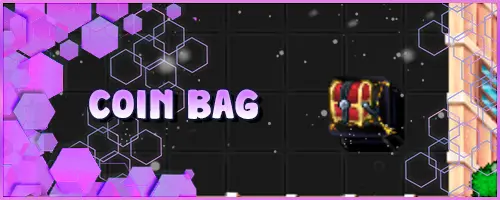 Banner Coin Bag.webp