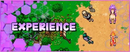 Banner Experience.webp