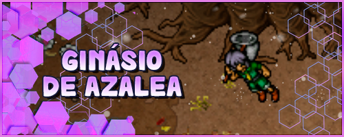 Banner Ginasio de Azalea.webp