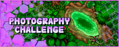 Banner Photography Challenge.webp