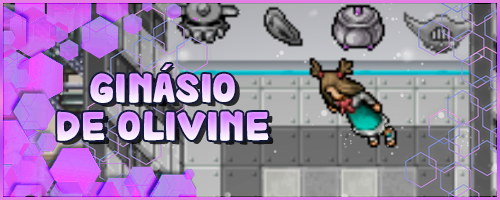 Banner Ginasio de Olivine.webp