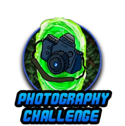 Banner Bolinha MD - Photography Challenge.webp