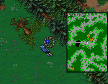 Puzzle Illex Centro azul.png