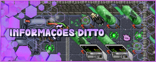 Banner Informacoes Ditto.webp