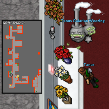 Exotic Flower Quest Npc Tanus.png