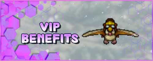 Banner VIP Benefits.webp