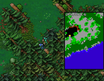 Puzzle Illex Sul verde.png