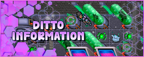 Illustrative banner with information about Ditto and Shiny Ditto